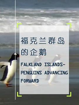 企鹅之岛：福克兰 2010 纪录片 海报