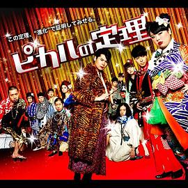Picaru的定理 2010 综艺 海报