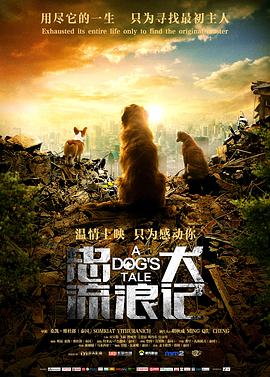 忠犬流浪记 2021 电影 海报