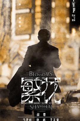 繁花 普通话 2023 电视剧 海报