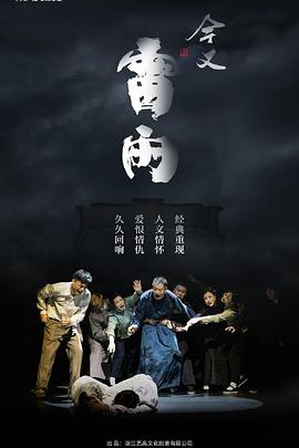 今又雷雨 2023 纪录片 海报