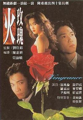 火玫瑰 1992 电视剧 海报