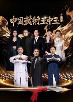 中国武术王中王第二季 2025 综艺 海报