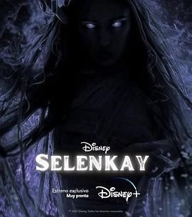 Selenkay 2024 电视剧 海报