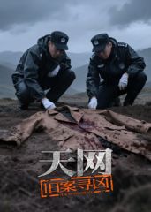 天网：旧案寻凶 2025 纪录片 海报