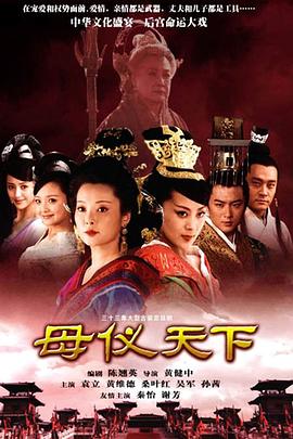 母仪天下 2008 电视剧 海报