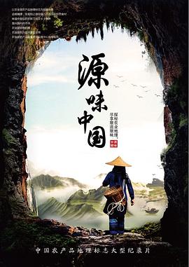 源味中国 2018 纪录片 海报
