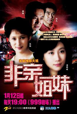 非亲姐妹 2009 电视剧 海报
