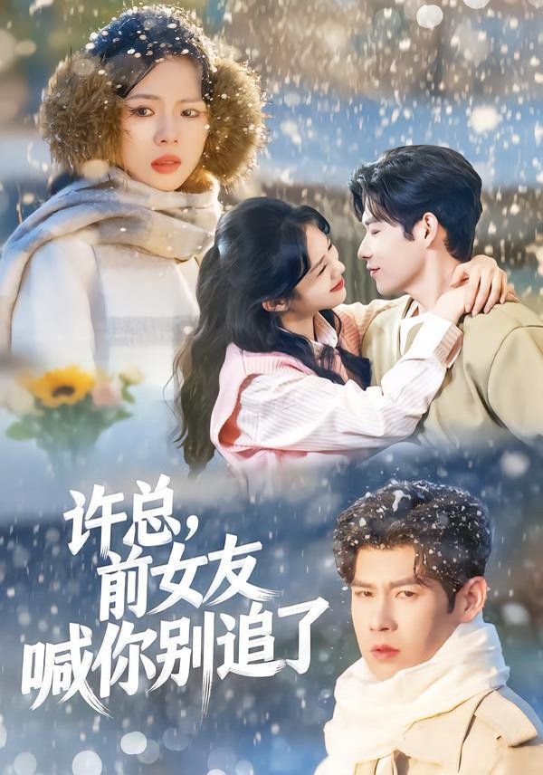 许总，前女友喊你别追了 2026 短剧 海报