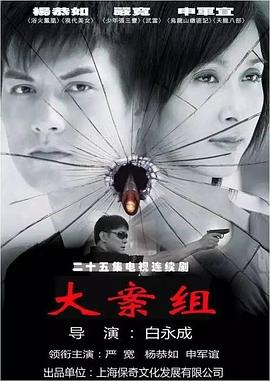大案组 2008 电视剧 海报