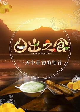 日出之食 2017 纪录片 海报