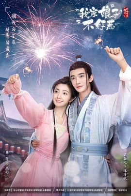 我家娘子惹不起 2024 电视剧 海报