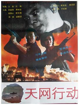 天网行动 1994 电影 海报