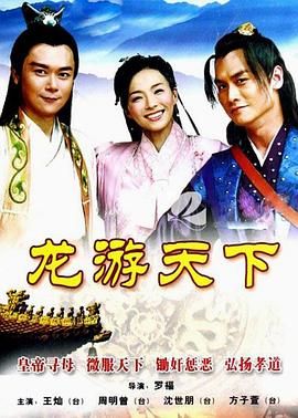 龙游天下 2008 电视剧 海报