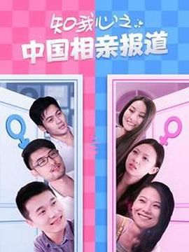 知我心之中国相亲报道 2013 电视剧 海报