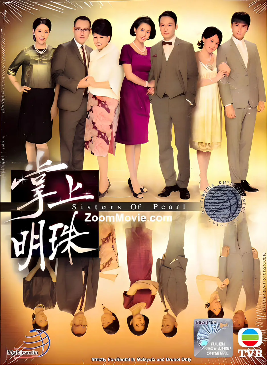 掌上明珠 2010 电视剧 海报