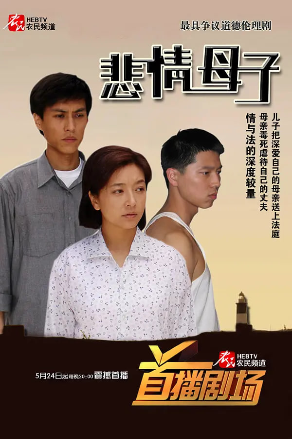 悲情母子 2006 电视剧 海报