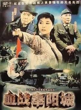 血战奉阳城 1994 电视剧 海报