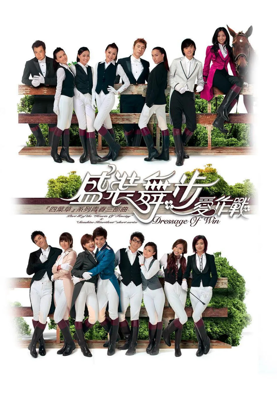 盛装舞步爱作战 2008 电视剧 海报
