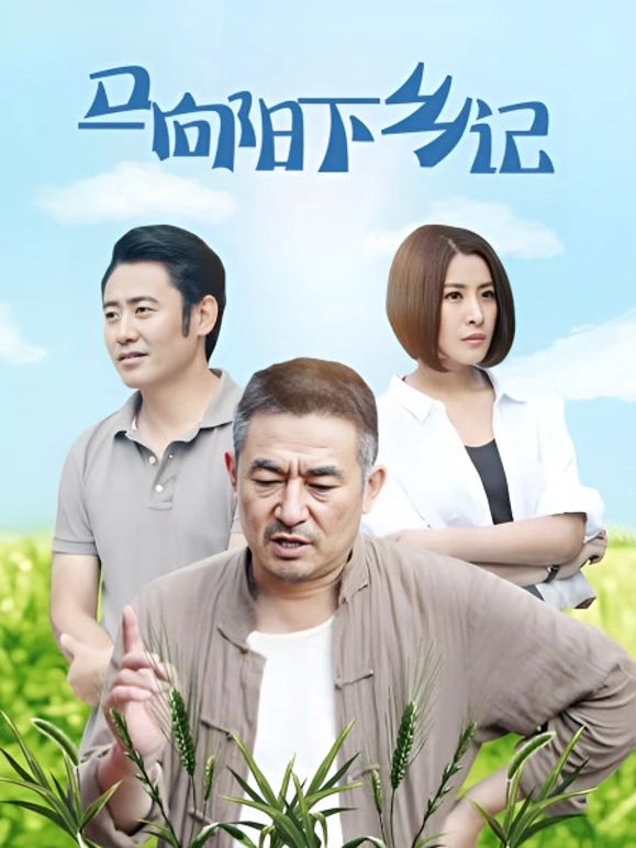 马向阳下乡记 2014 电视剧 海报