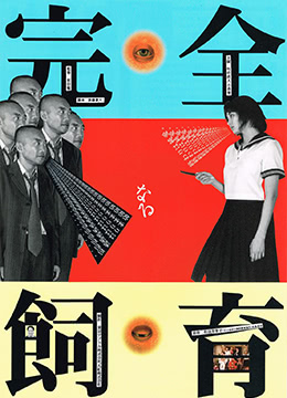 禁室培欲.完全饲育 1999 电影 海报