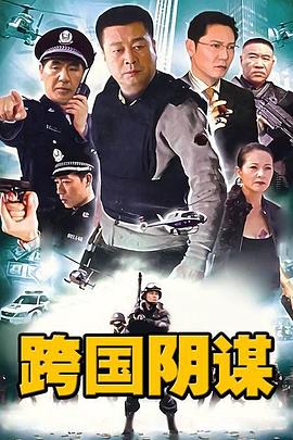 跨国阴谋 2010 电视剧 海报
