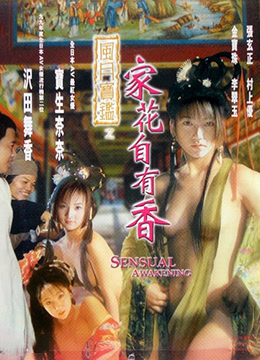 风月宝鉴之家花自有香 1999 电影 海报
