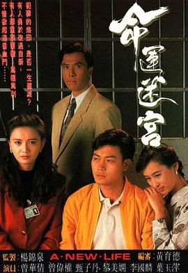 命运迷宫粤语版 1991 电视剧 海报