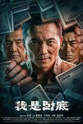 我是卧底[电影解说] 2026 电影解说 海报