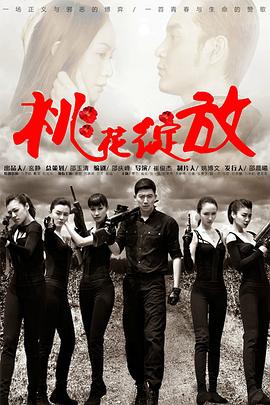 桃花绽放 2013 电视剧 海报