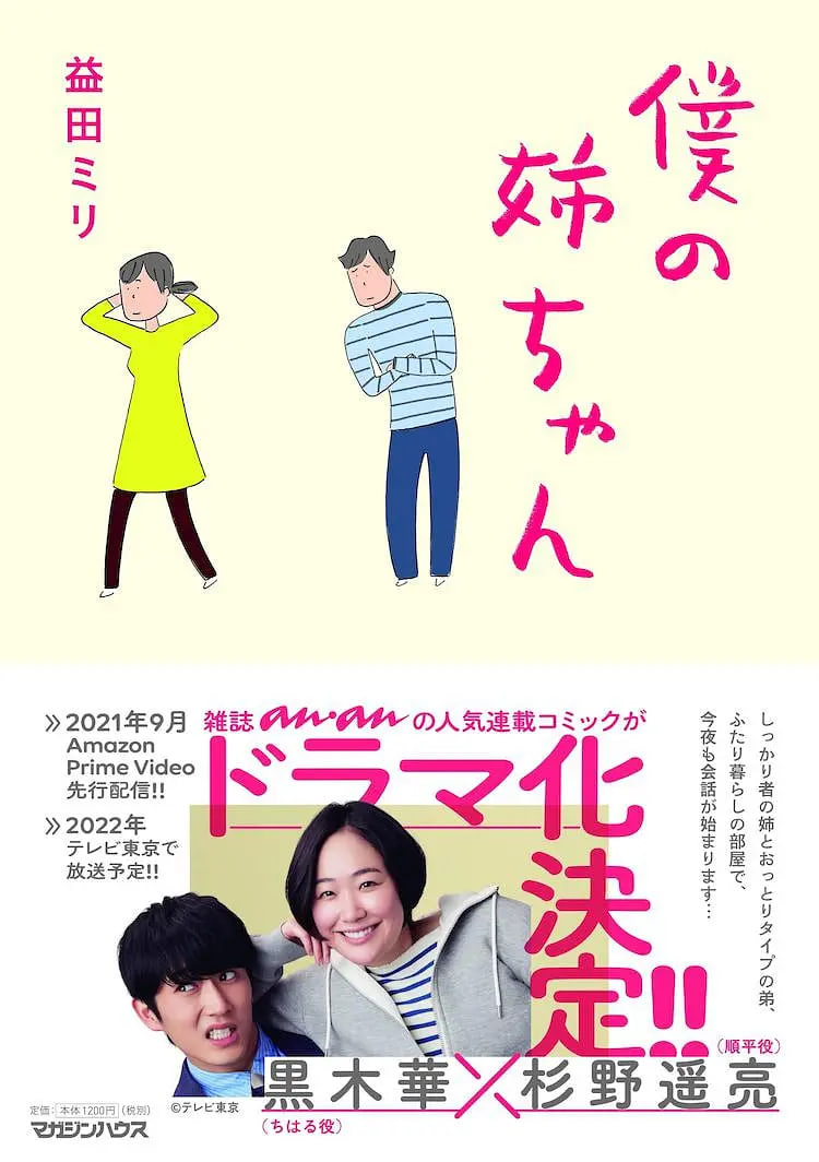 我的姐姐 2021 电视剧 海报