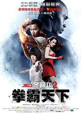 冬荫功2:拳霸天下(原声版) 2013 电影 海报