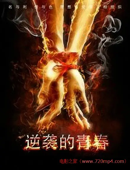 逆袭的青春 2014 电影 海报
