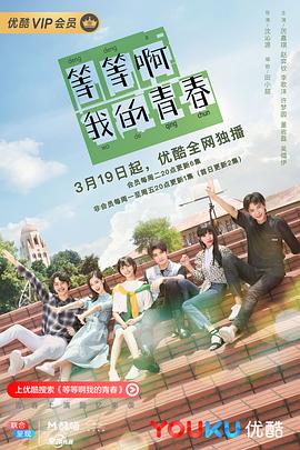 等等啊我的青春 2019 电视剧 海报