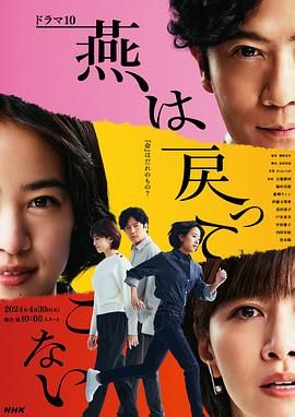 燕子不再归来 2024 电视剧 海报