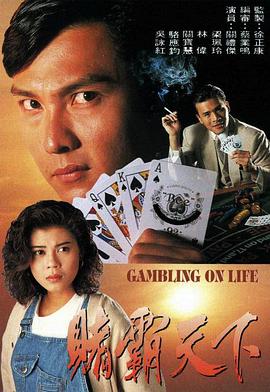 赌霸天下国语 1993 电视剧 海报