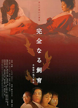 禁室培欲4：秘密地下室 2003 电影 海报