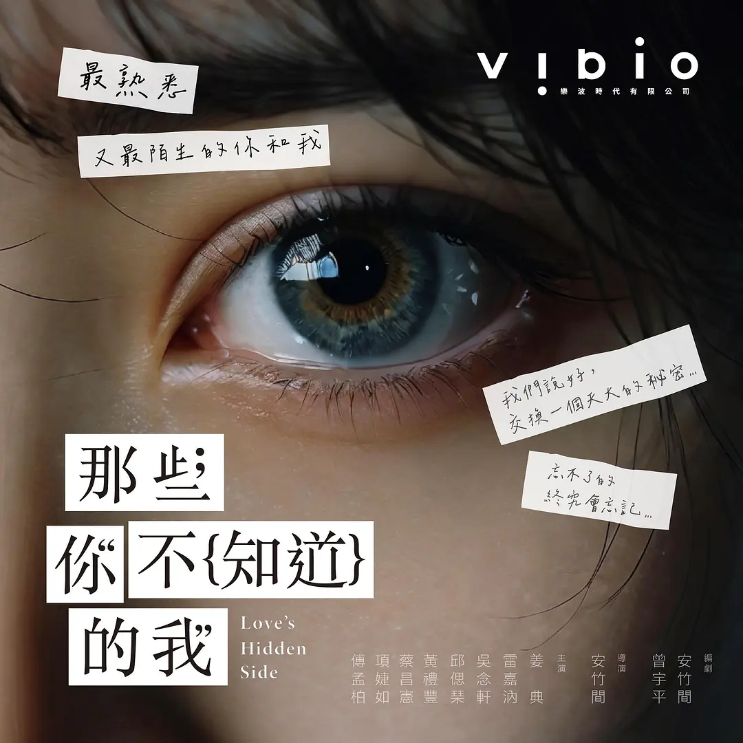 那些你不知道的我 2026 电视剧 海报