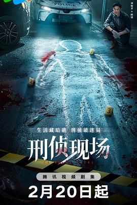 刑侦现场 2025 电视剧 海报