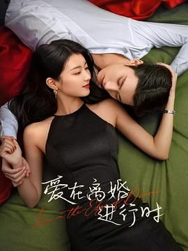 爱在离婚进行时 2025 电视剧 海报