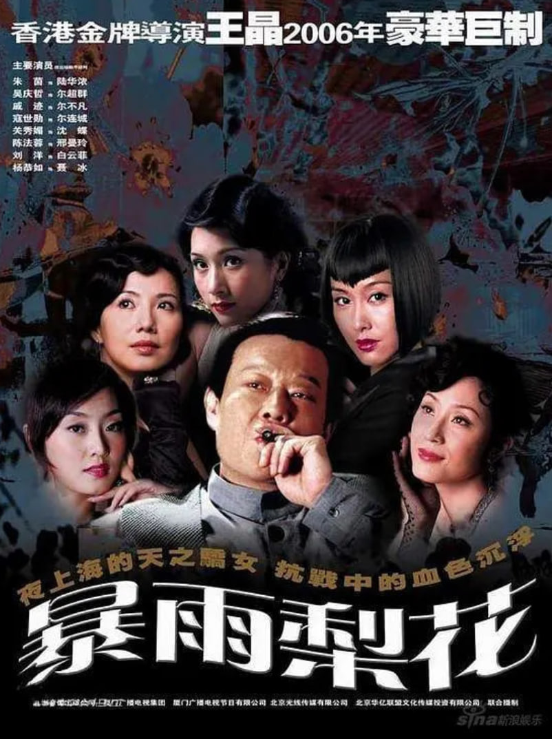 暴雨梨花 2006 电视剧 海报