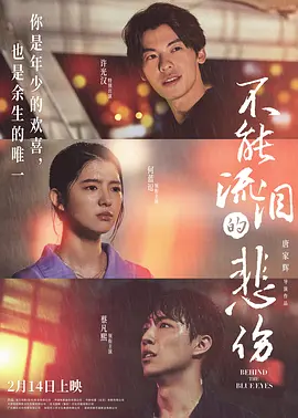 不能流泪的悲伤[电影解说] 2023 电影解说 海报