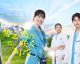 在勿忘草盛开的城镇 2026 电视剧 海报