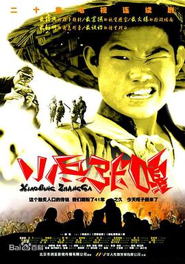 小兵张嘎 2004 电视剧 海报