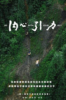 内心引力 2016 纪录片 海报