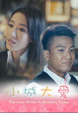 小城大爱系列剧粤语 2016 电视剧 海报