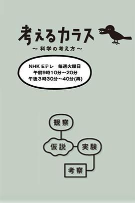 像乌鸦一样思考 2013 纪录片 海报