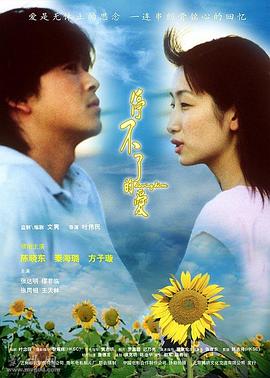 停不了的爱 2002 电影 海报