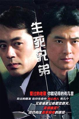 生死兄弟 2006 电视剧 海报
