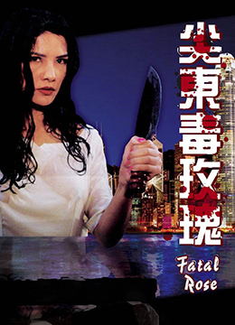 93夜之女 1993 电影 海报